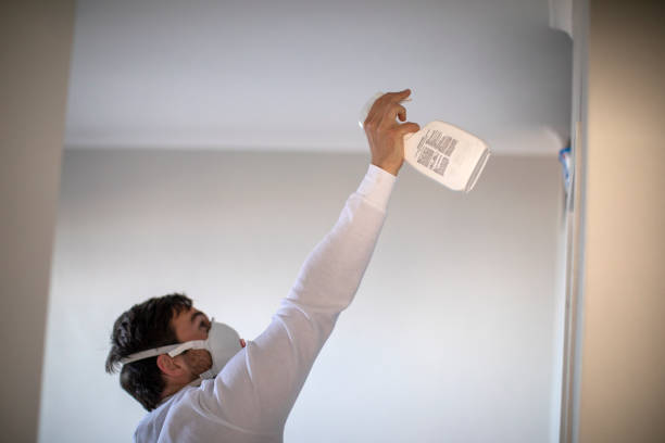 Best Mold Cleaning Services  in Port Reading, NJ