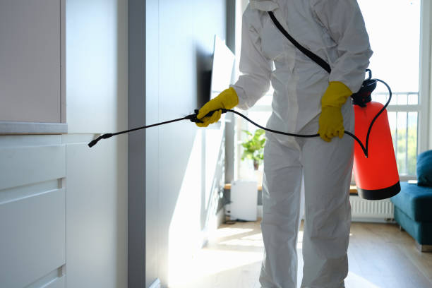 Best Residential Mold Removal  in Port Reading, NJ