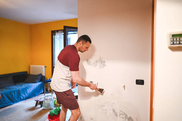 Best Mold Testing  in Port Reading, NJ